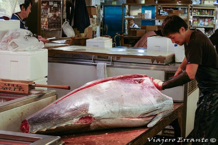 mercado de pescado de tsukiji 
