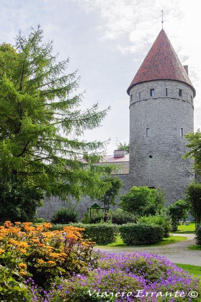 torre de la vieja muralla en Tallin